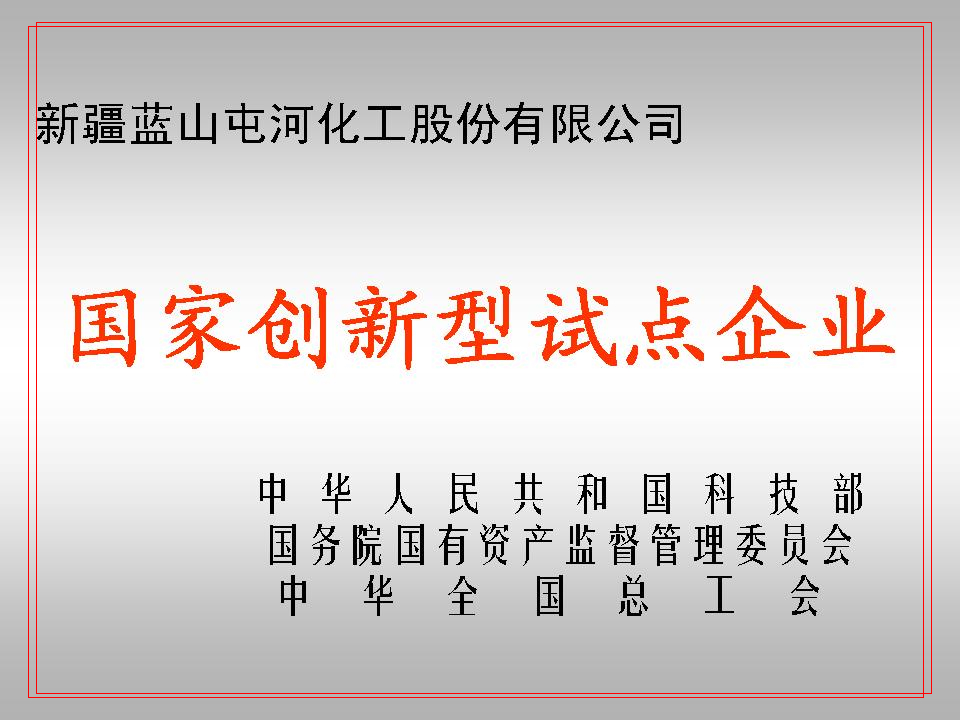国家创新型试点企业