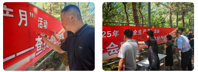 {74774cd8-2740-4366-9a33-33268f2b5875}