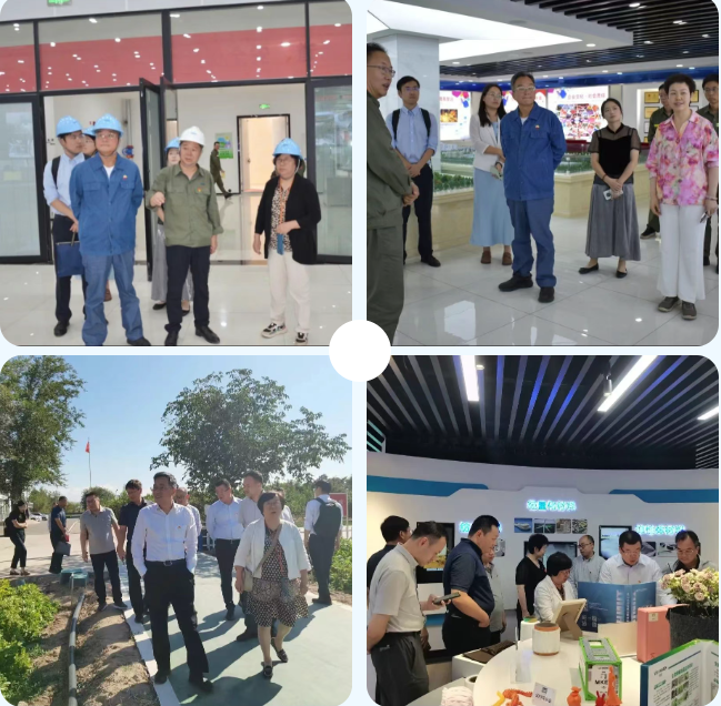 {d40b1c14-87af-401e-a383-5a3f04655127}