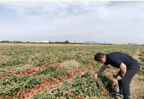 {be7b38b8-1265-4404-982f-567c038a19f9}