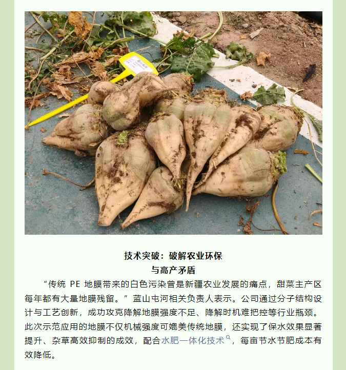 {1c0893c3-d57d-48e5-bba8-cce2909bb5c3}